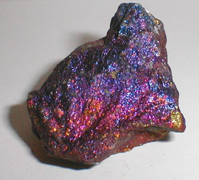 Purple Sea Sediment And copper bornite peacock ore earrings Crystal Healing 
